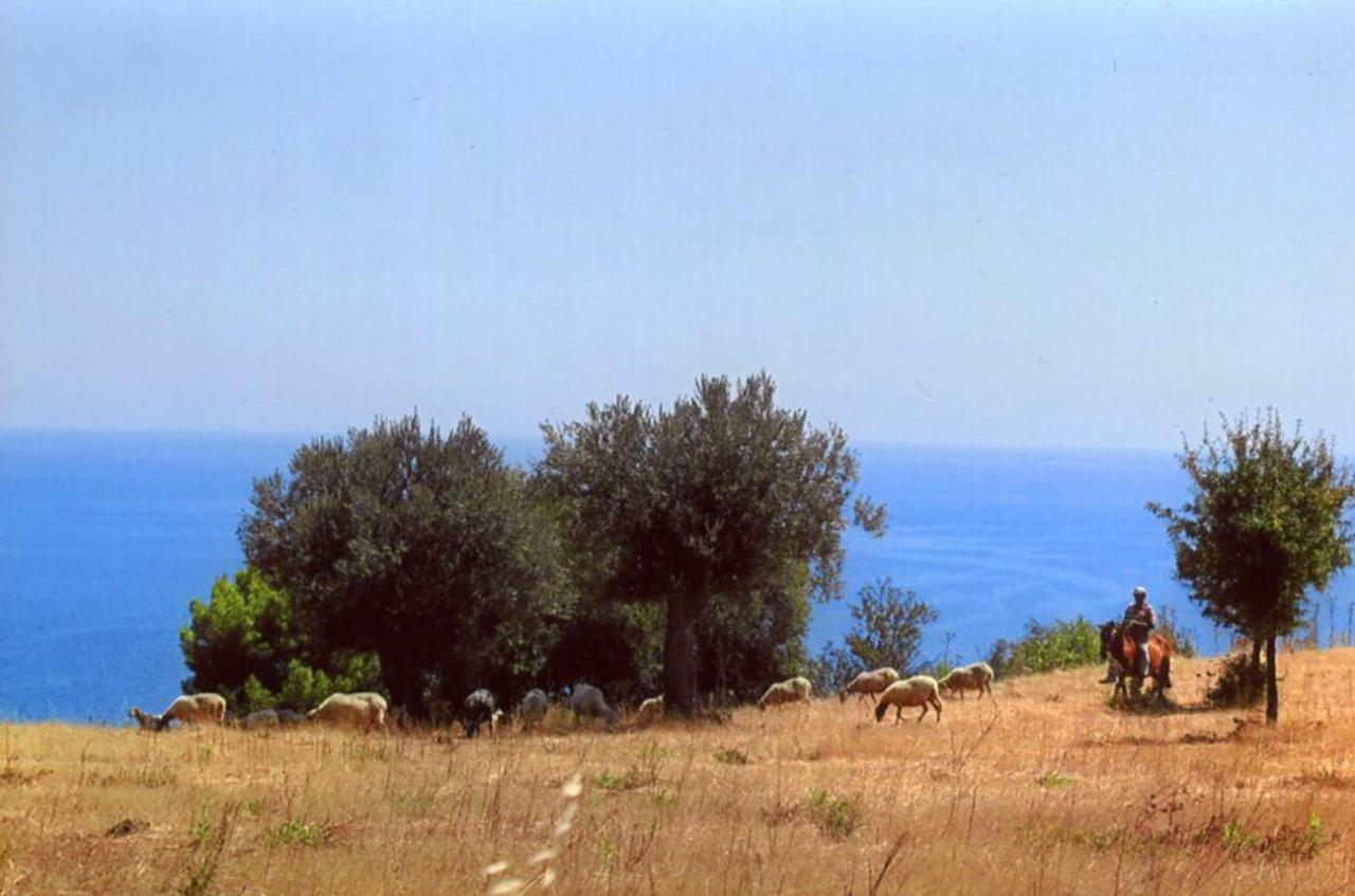 Grassetti Villa Montegiordano Exterior photo